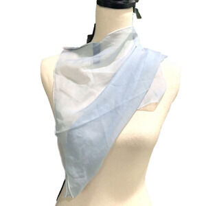 Gap Sheer Sky Blue Scarf